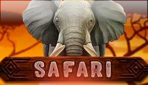 Safari